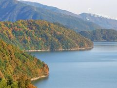 -四明山国家森林公园