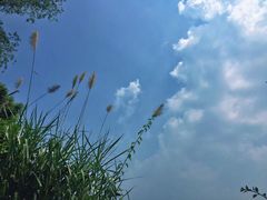 -火炉山森林公园