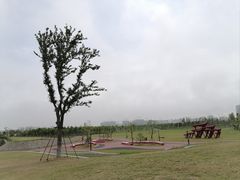 -南汇嘴观海公园