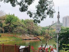 -深圳国际园林花卉博览园