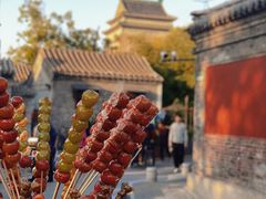 -南锣鼓巷