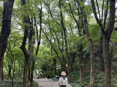 -宁波市保国寺古建筑博物馆