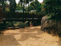 -荔湾区儿童公园