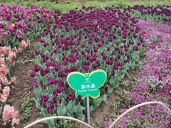 -玄武湖景区-情侣园游乐场