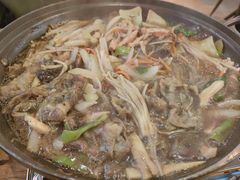 -猫头鹰炸鸡