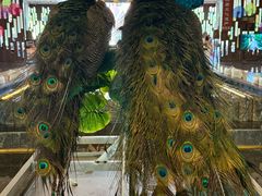 -西双版纳融创皇冠假日度假酒店