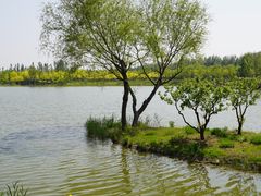 -东郊湿地公园