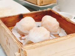 -广州酒家(昌岗地铁站店)