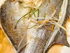 -真定郝家排骨(正定县总店)