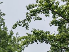 -八大关景区