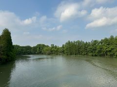 -东湖落雁景区