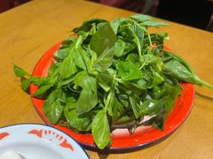 旺财豌豆尖-郭婆婆疯子鸡·土货江湖菜馆