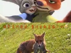 -纵横国际影城杜比全景声巨幕(天安云谷店)