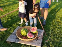 -九善农植有机生活农场