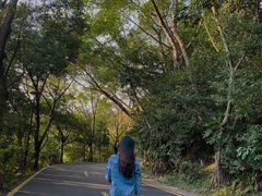 -深圳仙湖植物园-停车场