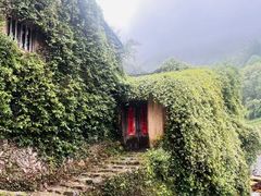 -杨家堂村