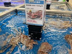 -盒马X会员店(上海森兰商都店)