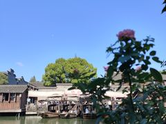 -乌镇景区