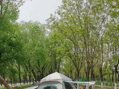 -永定河休闲森林公园