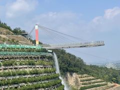 -安徽大青山野生动物世界