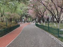 -西安市长乐公园