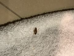 -和颐酒店(广州琶洲会展中心广州塔赤岗地铁站店)