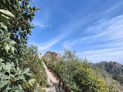 -大岭沟猕猴桃谷风景区