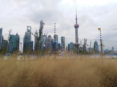 -北外滩滨江绿地