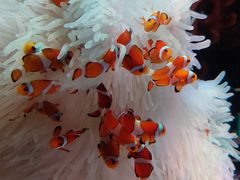 -沈阳海洋探索中心