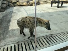 -南京金牛湖风景区