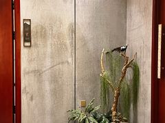 -楼里火锅餐厅(文化城店)