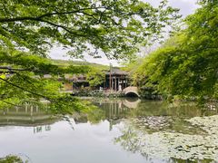 -中国茶叶博物馆(双峰馆区)