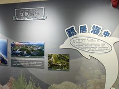 -三垟湿地