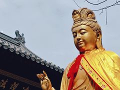 -西安大兴善寺