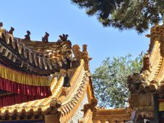 -五台山风景名胜区-罗睺寺