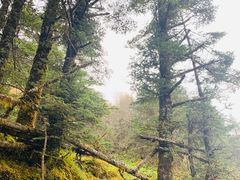 -硗碛藏寨·神木垒景区