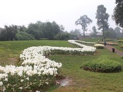 -保利石象湖景区
