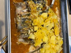 -鱼酷活鱼烤鱼(沈阳大悦城店)