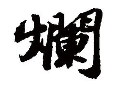 -杨家火锅(国美店)