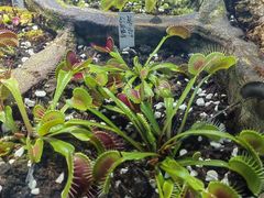 -国家植物园南园