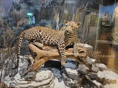 -陕西自然博物馆