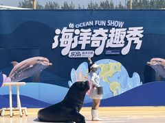 -秦皇岛乐岛海洋王国