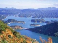-广州市流溪河国家森林公园