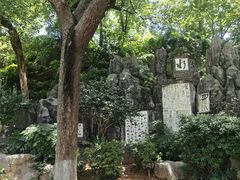 -白沙古井
