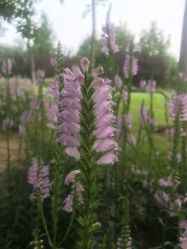 -大望京儿童游乐场