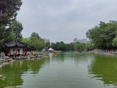 -莲湖公园