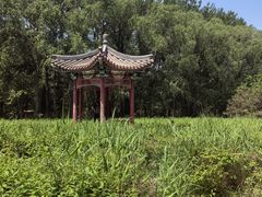 -北京麋鹿生态实验中心