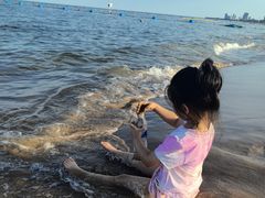 -南戴河国际娱乐中心