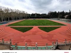 -武汉大学-樱园
