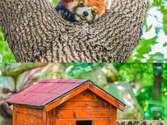 -常州淹城野生动物世界